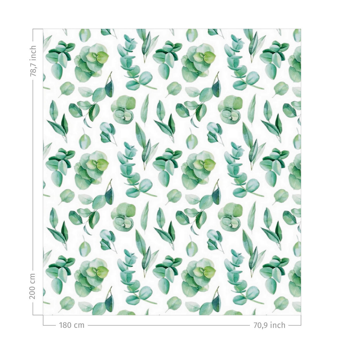 DUSCHVORHANG Aquarell Eukalyptuszweige und Blätter Muster 180/200 cm - Grün, Textil (180/200cm) - Bilderwelten