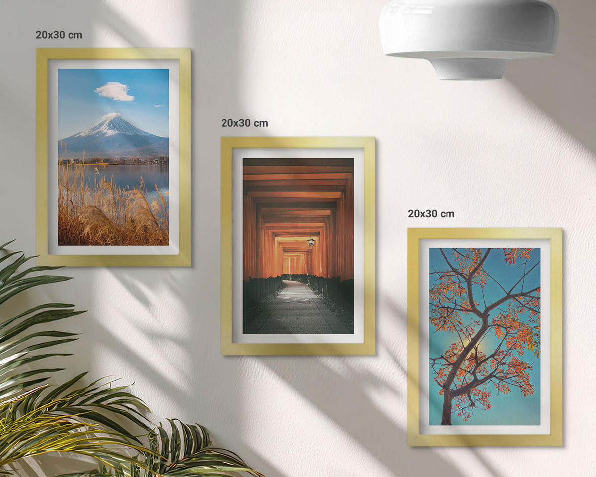 BILDER SET 3er Set - 20x30 cm Goldrahmen - Japanische Naturlandschaften - Goldfarben, Kunststoff (20/30cm) - TULUP
