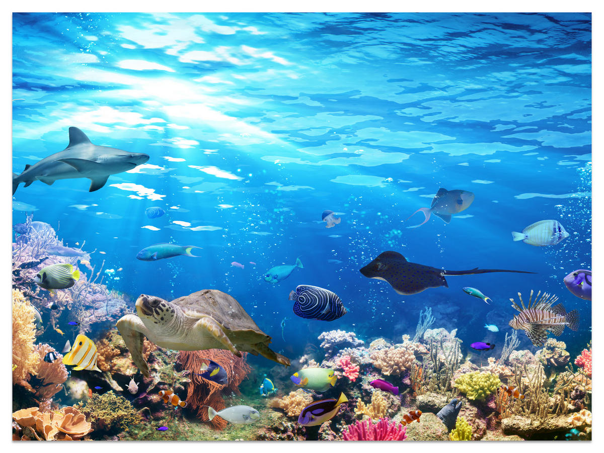FOTOTAPETE für Badezimmer Korallenriff Schildkröte Hai Fisch 200x140 - Blau/Gelb, Papier (200/140cm) - Muralo