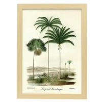 POSTER Tropische Lanscape A3 Rahmen Aus Hellem Holz - Beige, Papier (29.7/5/42cm) - Nacnic