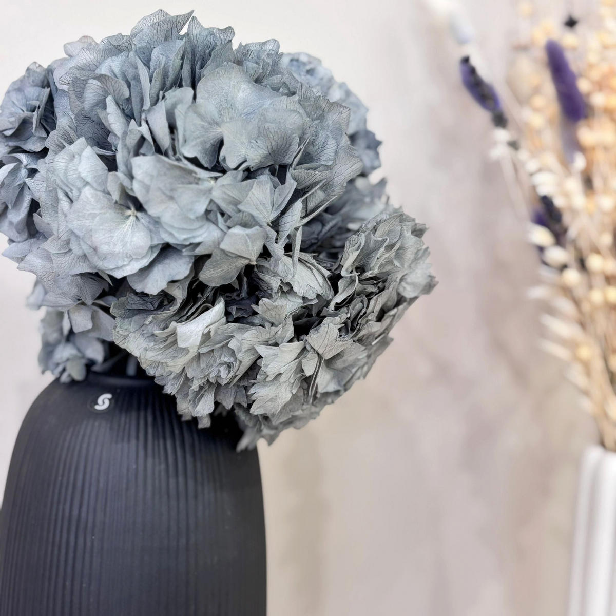 HORTENSIE: Zeitlose Schönheit, konservierte Hortensien als perfekte Dekoration - hellblau / 30 cm - Hellblau, Naturmaterialien (30cm) - Lykke & You