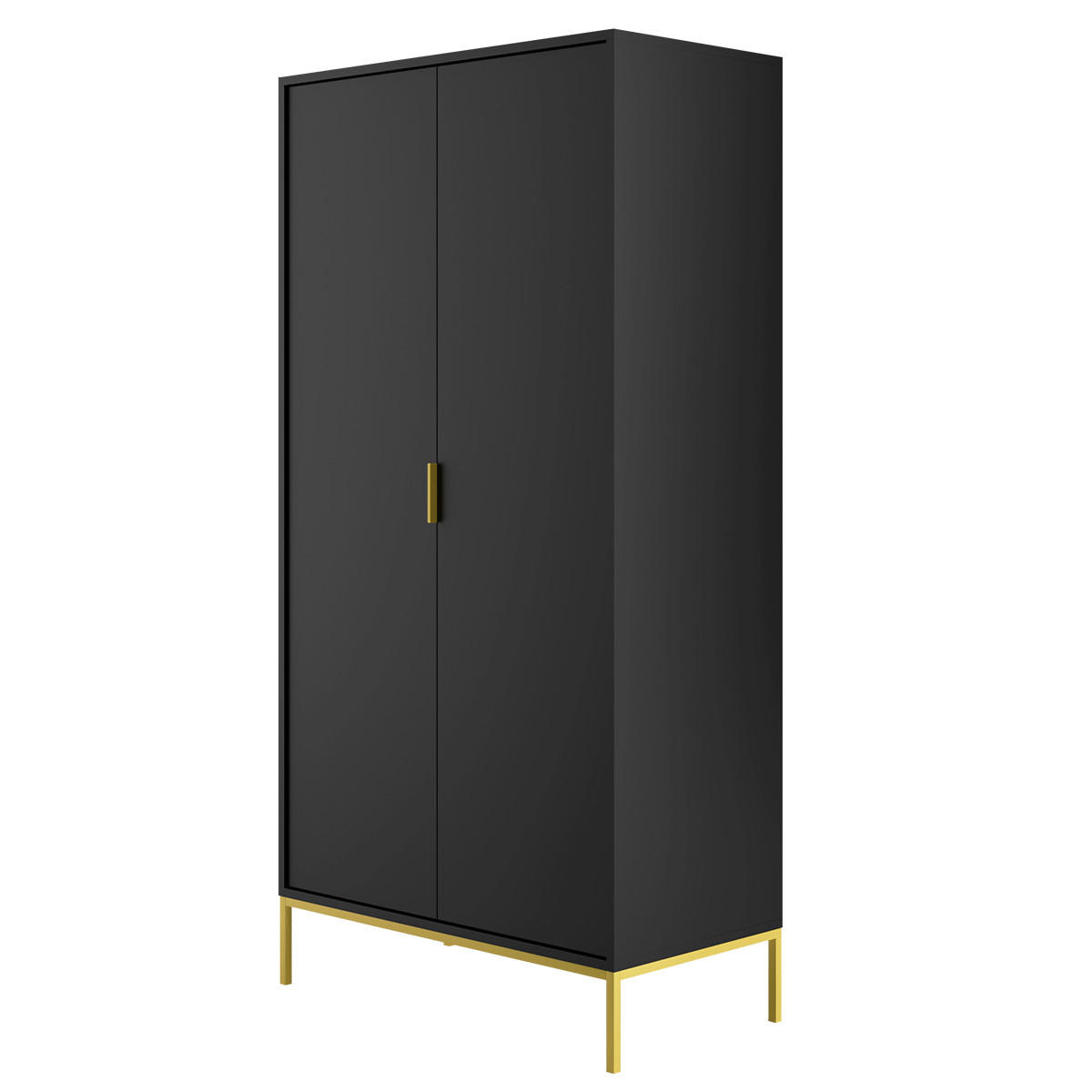 SKŘÍŇ 2DVEŘOVÁ Seattle Černá - černá, kompozitní dřevo (100/205.4/55cm) - Petits-meubles