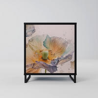 SIDEBOARD SOFTEN POPPY, Schwarz, 57,5x42x67,5 cm, Schwarze Metall-Rahmenfüße - Multicolor/Schwarz, Holzwerkstoff/Metall (57.5/67.5/42cm) - SpaceRebels