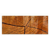 GLASPLATTE für Kamin 125x50 cm - Orange, Glas (125/50/0.4cm) - TULUP