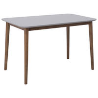 ESSTISCH 118/77/73 cm Hellgrau Rechteckig Modesto - Grau, Holz (118/77/73cm) - Beliani
