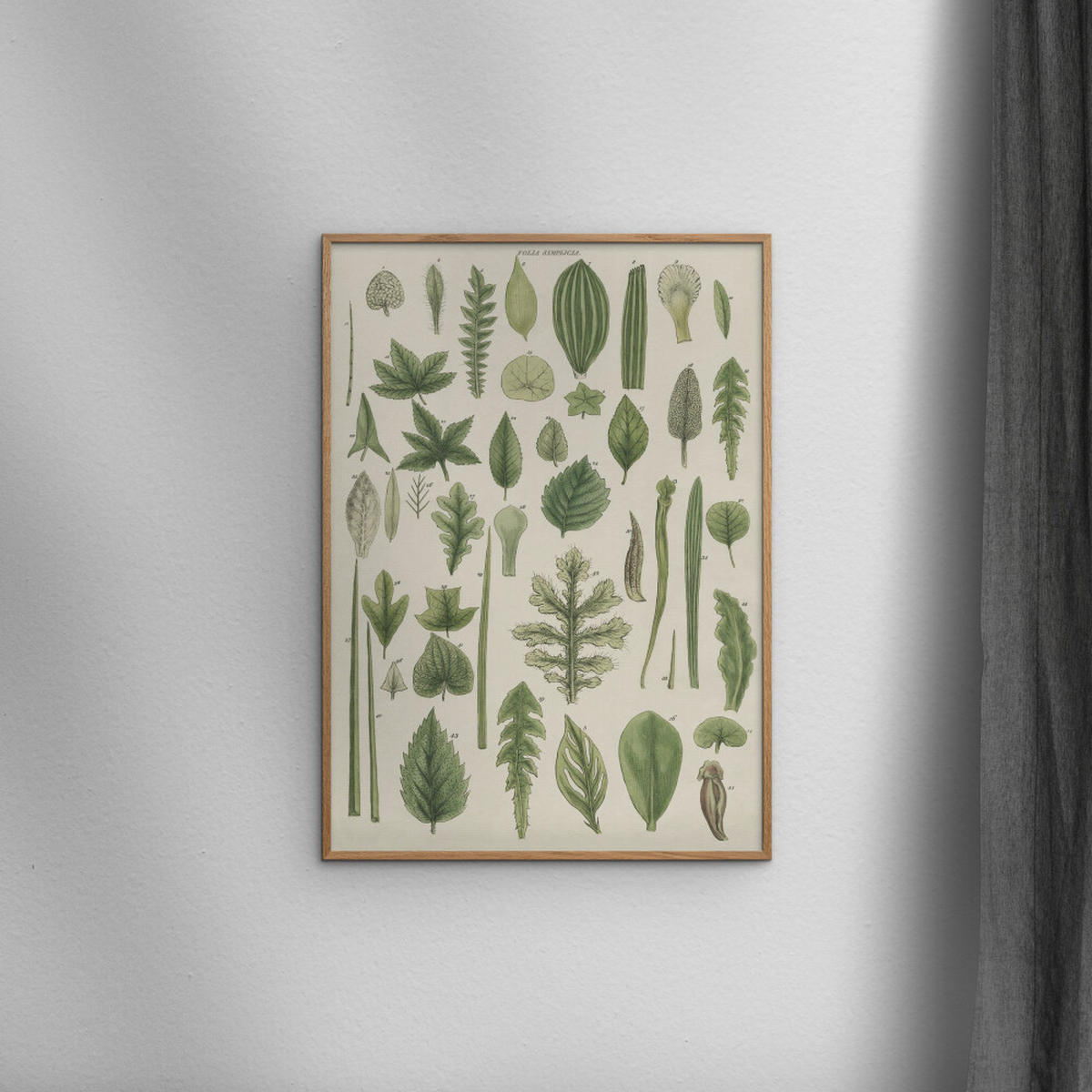 POSTER mit Rahmen Wild Apple - Assortment of Leaves II - Eichefarben/Grün, Holz/Papier (70/100cm) - Poster&Frame