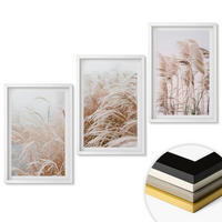 WANDBILDER 3er-Set - 40x60 cm Weißer Rahmen - Grasflächen in Braun- und Beigetönen - Weiß, Kunststoff (40/60cm) - ArtPrintCave