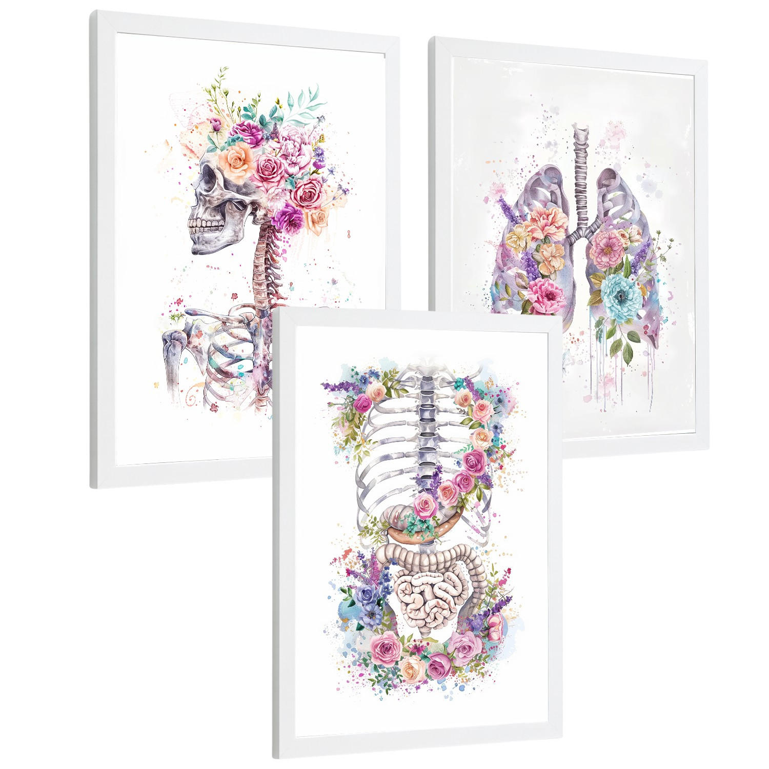 POSTER Set aus 3 Anatomie Drucke mit Skelett Schädel Wirbelsäule Rippen Lungen und Verdauungssystem Künstlerischer Größe Weißer Rahmen A4 - Weiß, Papier (21/29.7/3cm) - Nacnic