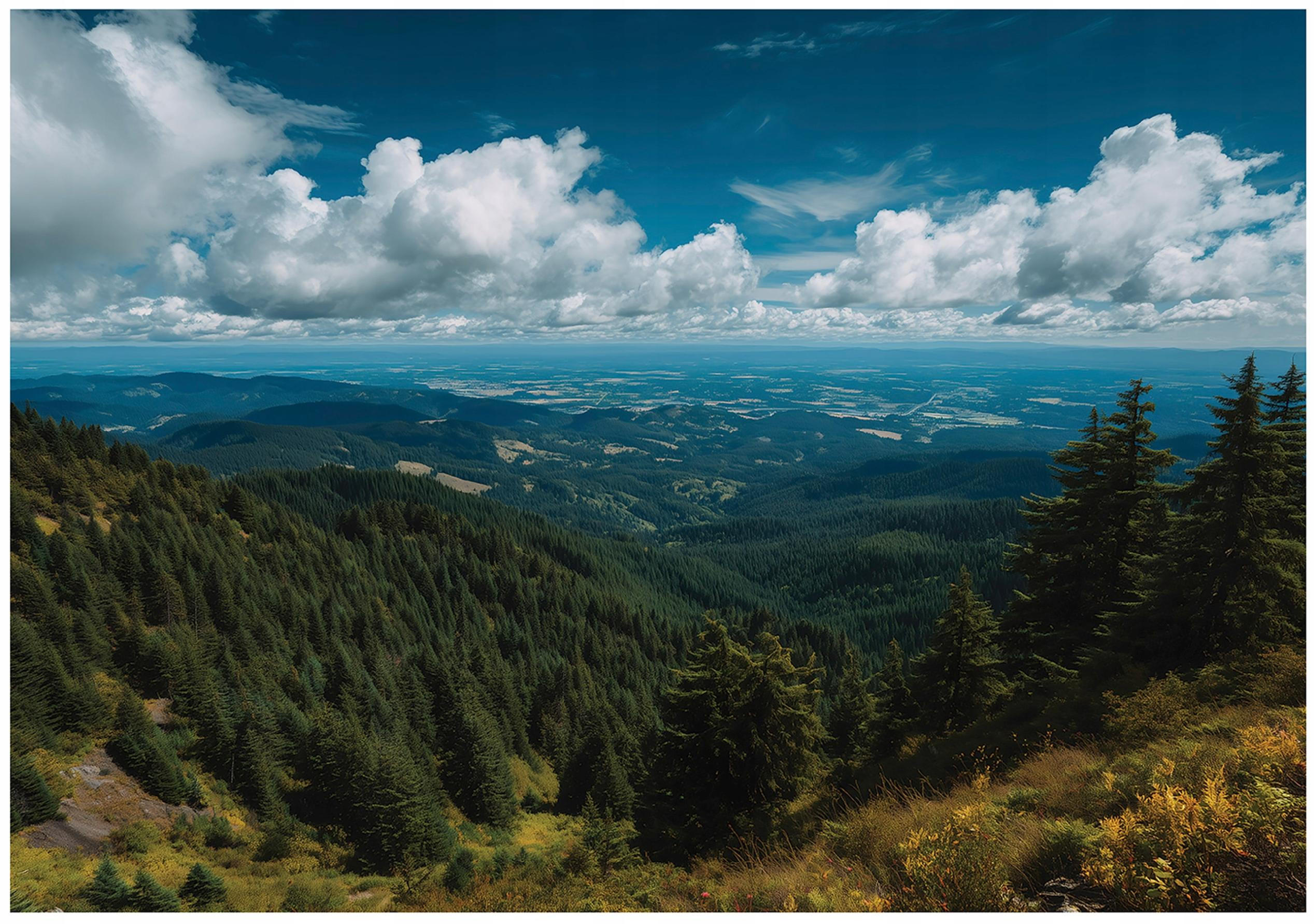 FOTOTAPETA krajina les modrá 350x250 cm - viacfarebná, papier (350/250cm) - Wallarena
