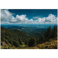 FOTOTAPETA krajina les modrá 250x175 cm - viacfarebná, papier (250/175cm) - Wallarena