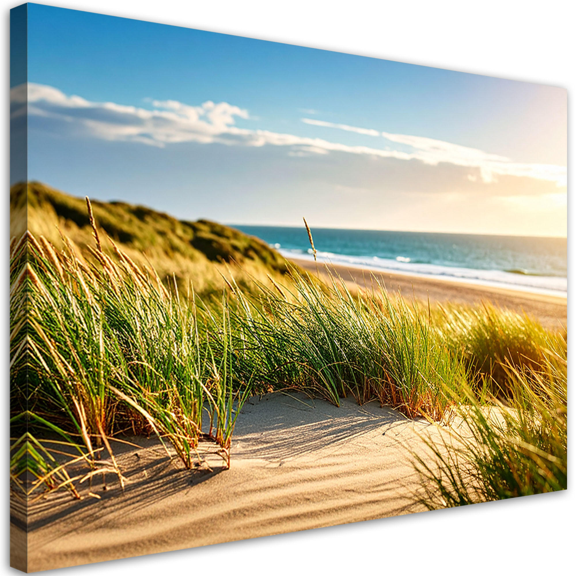 LEINWANDBILD Strand Meeresdünen Landschaft 120x80cm - Grün, Textil (120/80cm) - Feeby