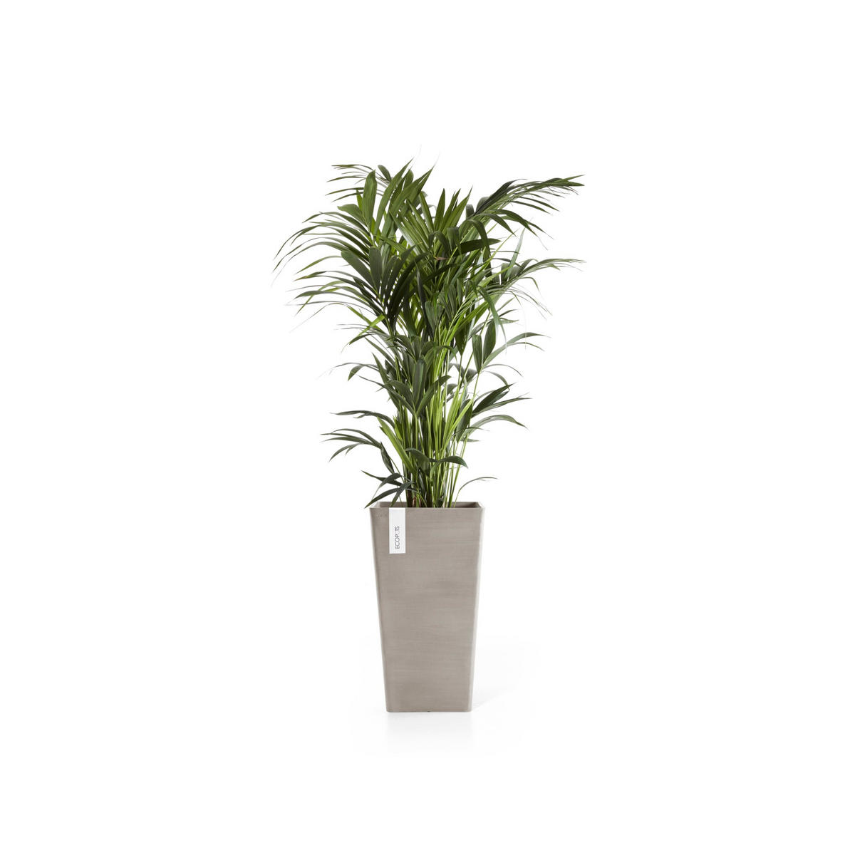 BLUMENTOPF Rotterdam Mid High 31/31/56,5 cm Taupe - Taupe, Kunststoff (31/56.5cm) - Ecopots