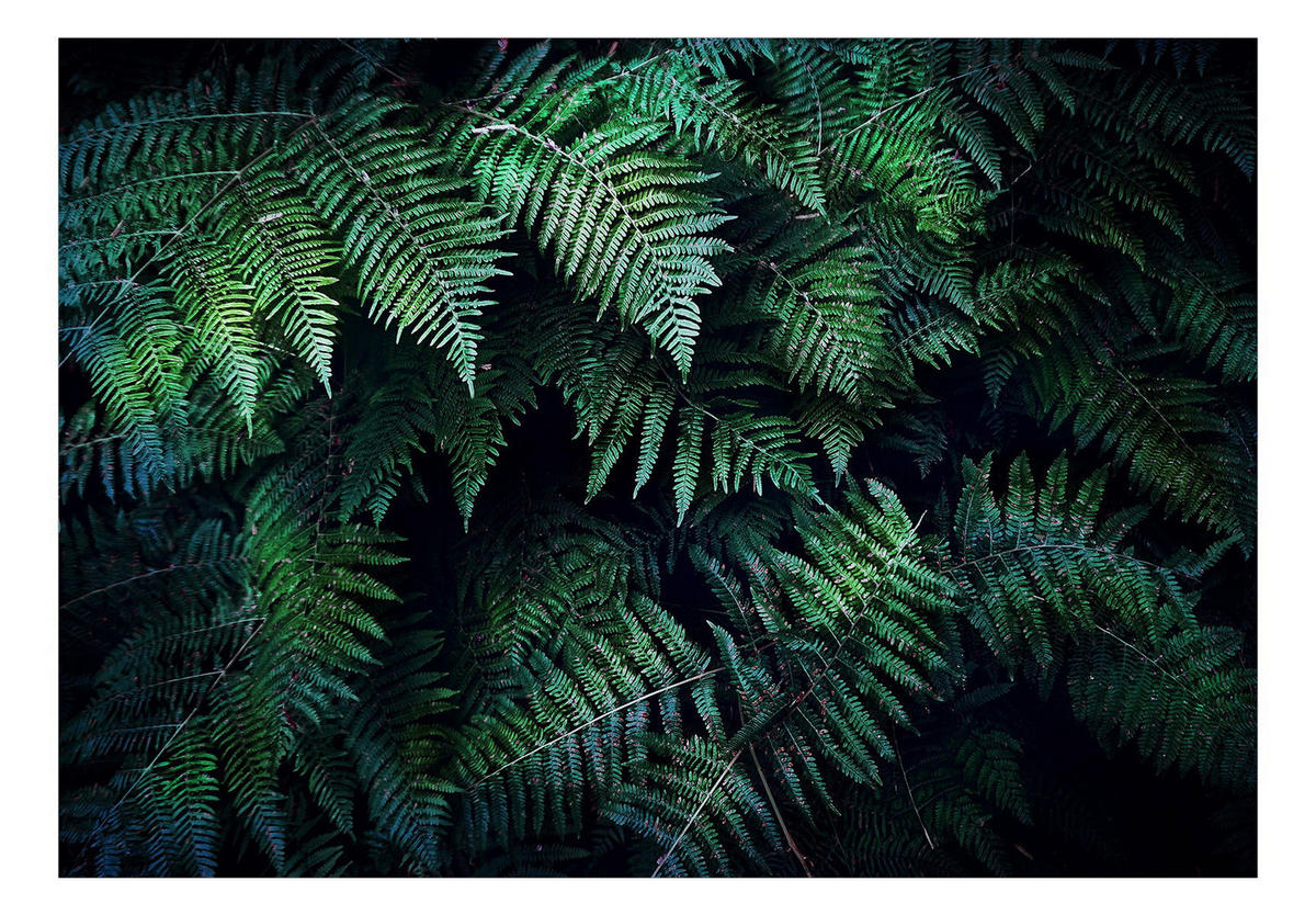 SELBSTKLEBENDE FOTOTAPETE 294/210 cm - Schwarz/Grün, Kunststoff/Textil (294/1cm) - KUNSTLOFT