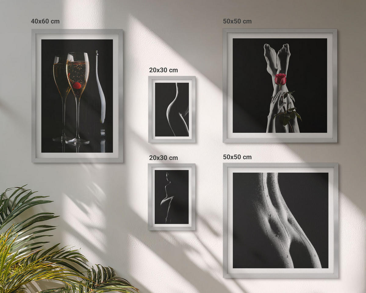 BILDER SET 5er Set - 50x50 cm & 20x30 cm & 40x60 cm Silberner Rahmen - Schwarze und weiße weibliche Formen - Silberfarben, Kunststoff (40/60cm) - TULUP