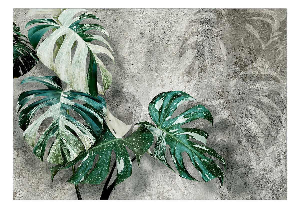 SELBSTKLEBENDE FOTOTAPETE 245/175 cm - Grau/Grün, Kunststoff/Textil (245/1cm) - KUNSTLOFT