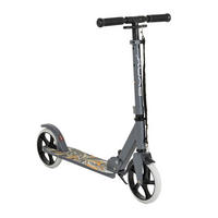KINDERROLLER Flurry grau klappbar, Seitenständer, höhenverstellbar, PU-Räder - Grau, Metall (85/14/93cm)