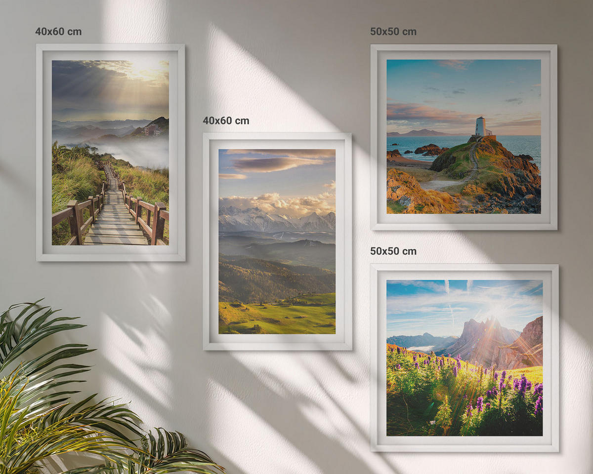 BILDER SET 4er Set - 50x50 cm & 40x60 cm Weißer Rahmen - Bergblumen Himmelsweg - Weiß, Kunststoff (50/50cm) - TULUP