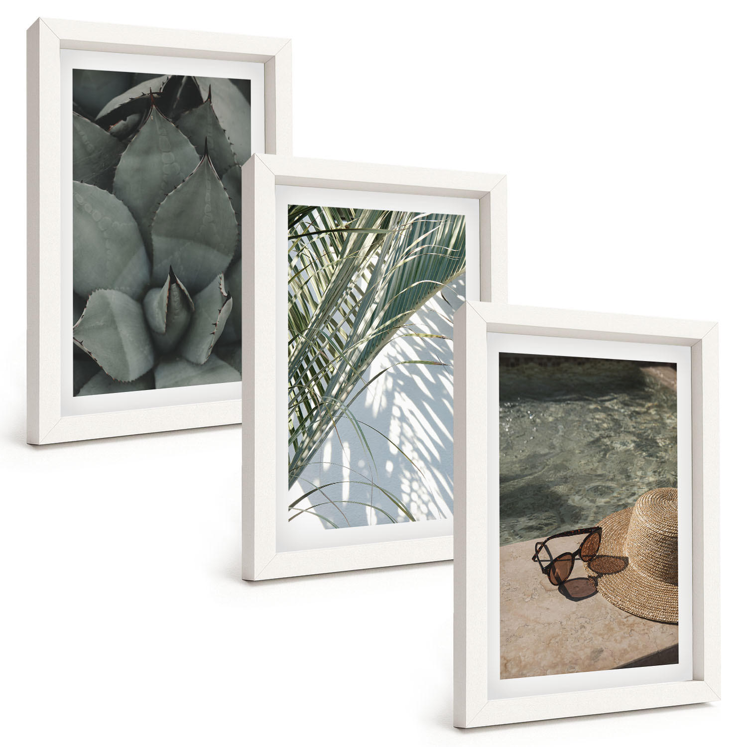 BILDER SET 3er Set - 20x30 cm Weißer Rahmen - Tropische Pflanzen für den Urlaub - Weiß, Kunststoff (20/30cm) - TULUP