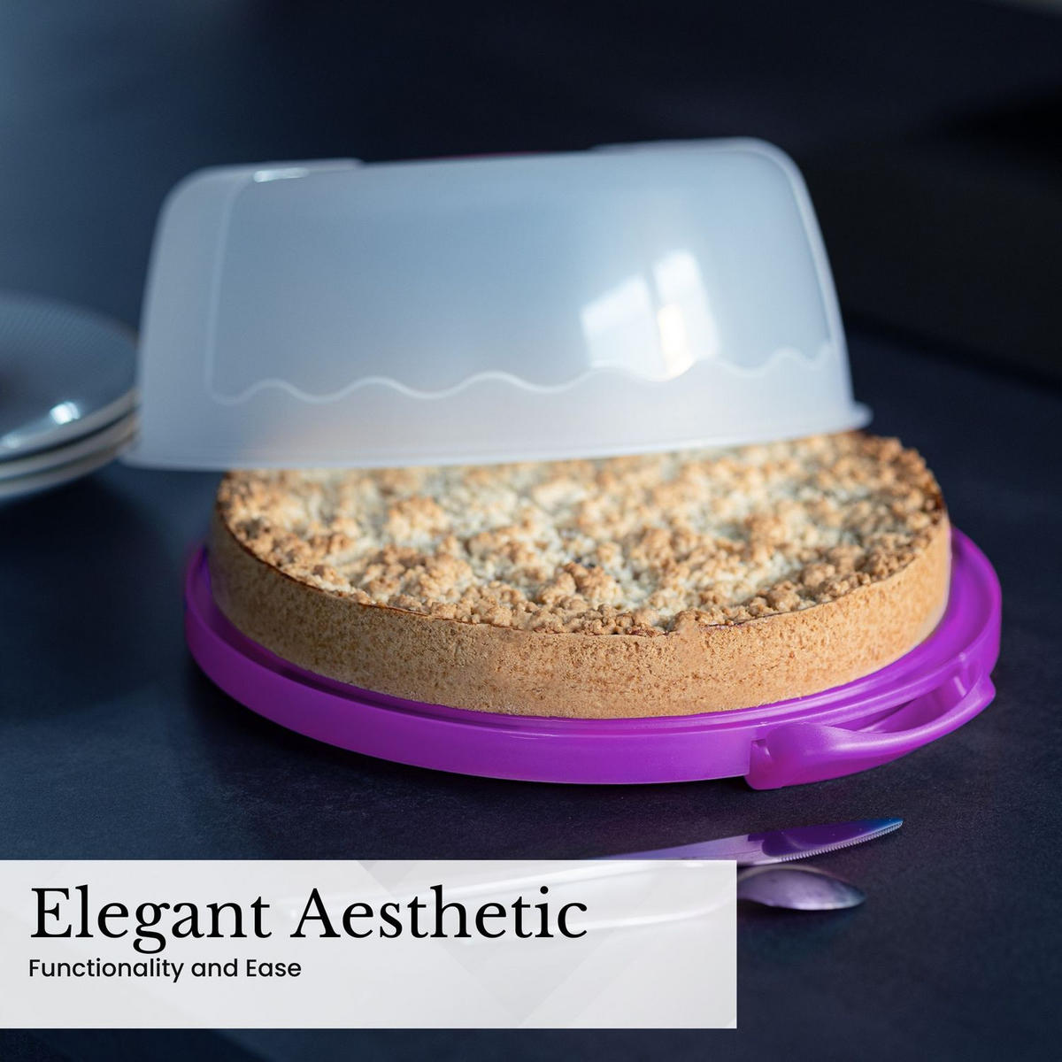 KUCHENTRANSPORTBOX Kuchenbehälter 29.8/28.8/13.2 cm - Lila, Kunststoff (28.8/13.2/29.8cm) - Intirilife