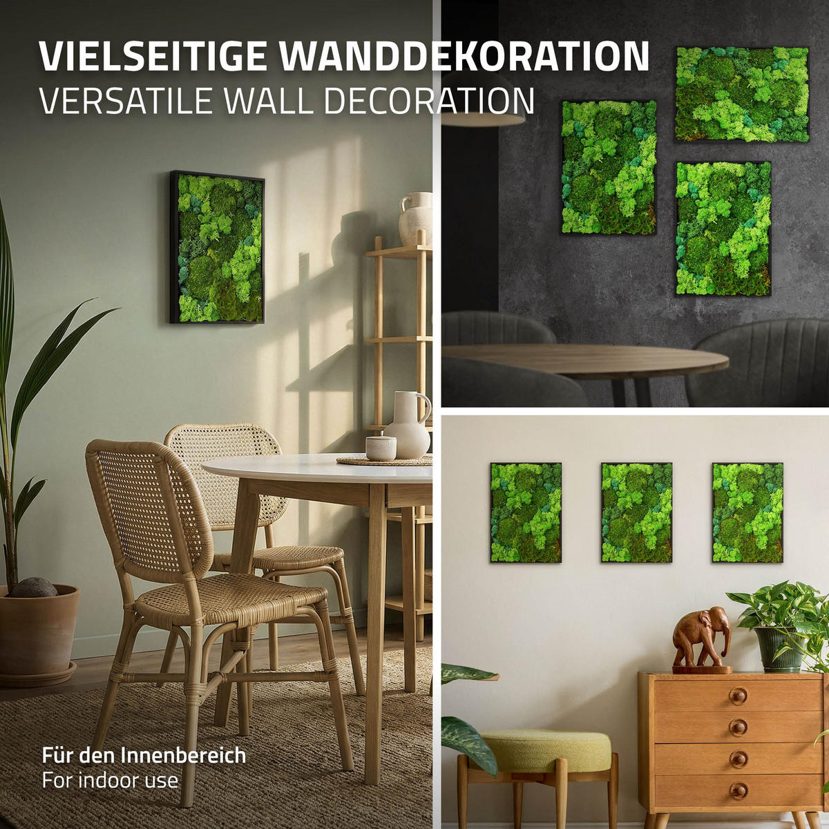MOOSBILD Rechteck 38 x 27 cm Mooswand Indoor mit echtem echtem Kugelmoos-Islandmoos-Flachmoos-Mix und Holzrahmen Grün - Waldgrün, Naturmaterialien (27/38/3.5cm) - ECD-Germany