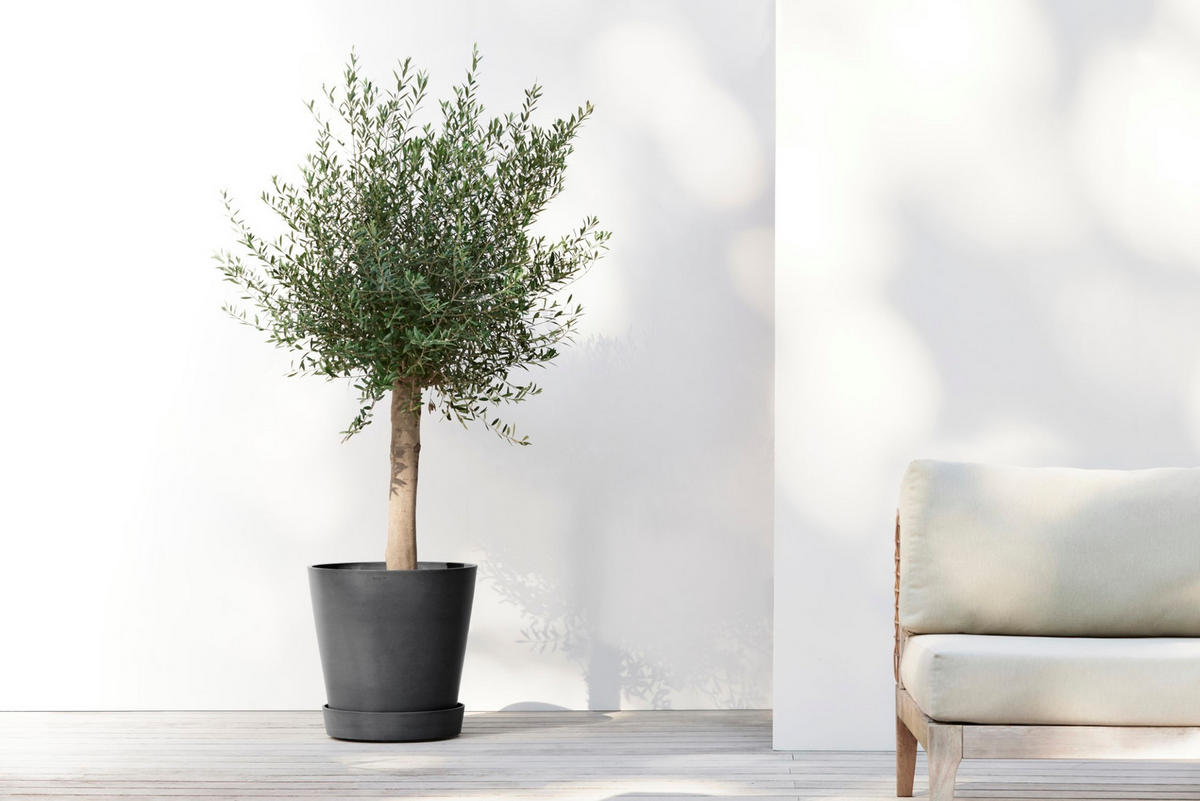 BLUMENTOPFUNTERSETZER mit Rädern 41,6/41,6/9 cm Dunkelgrau - Dunkelgrau, Kunststoff (41.6/9cm) - Ecopots