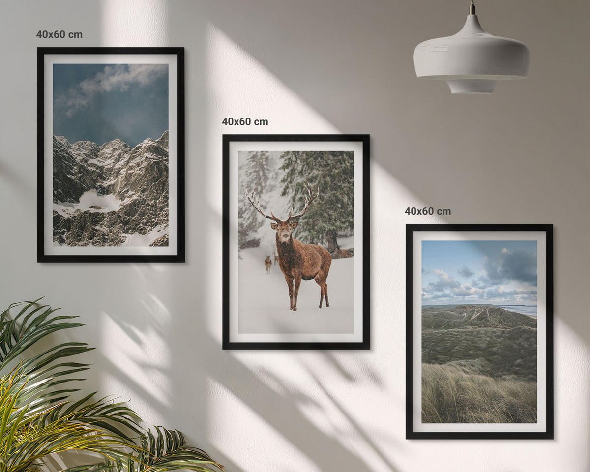 WANDBILDER 3er-Set - 40x60 cm Schwarzer Rahmen - Berge, Schnee, Hirsche, Waldlandschaft - Schwarz, Kunststoff (40/60cm) - ArtPrintCave