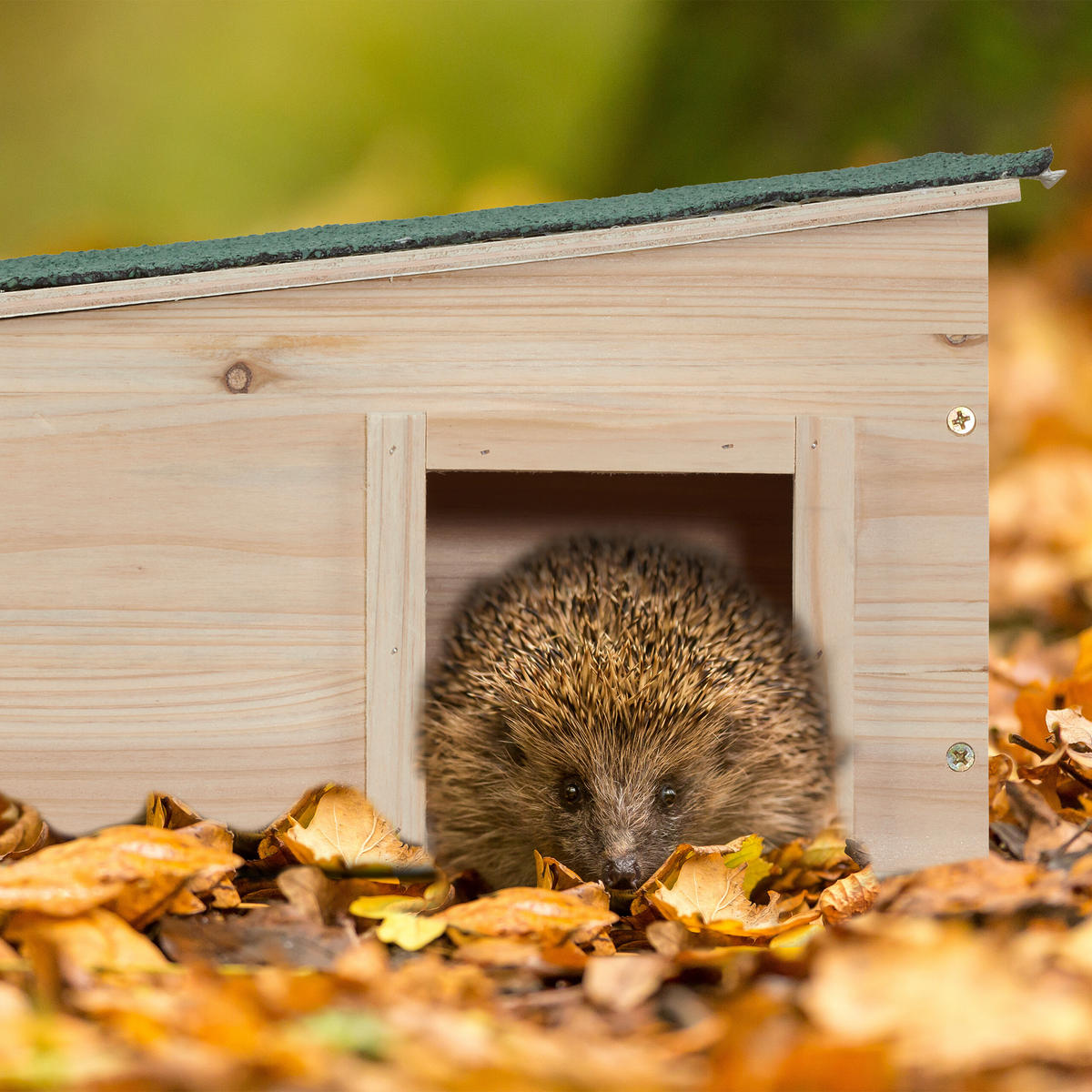 IGELHAUS - Hellbraun, Holz/Kunststoff (40/21.5/40cm) - Relaxdays