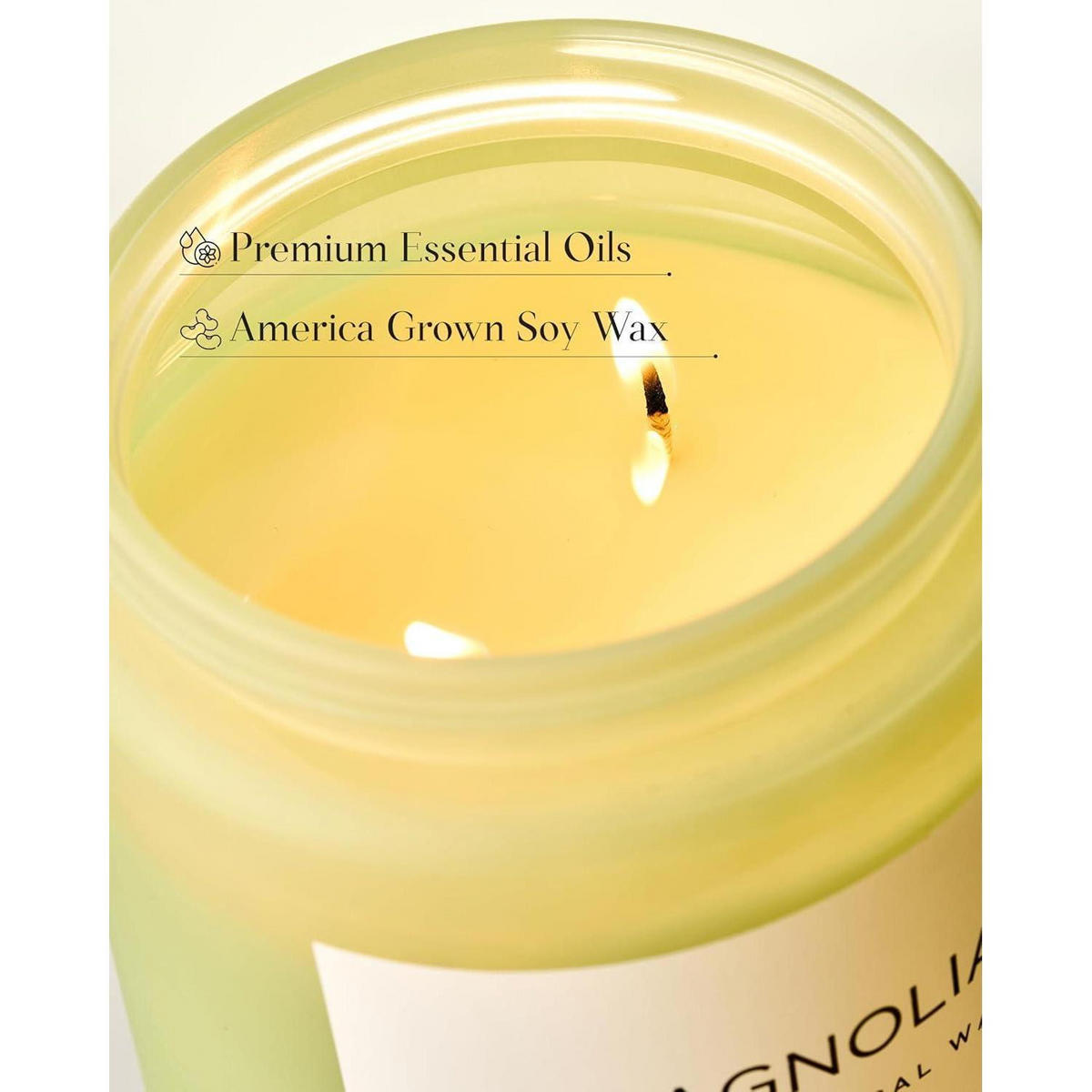 DUFTKERZE Magnolia Jasmin 550g 2-Docht Sojawachs - Grün, Paraffin (13cm)
