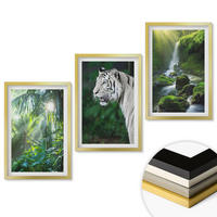 WANDBILDER 3er Set - 40x60 cm Goldrahmen - Dschungeltigerwasserfall - Goldfarben, Kunststoff (40/60cm) - ArtPrintCave