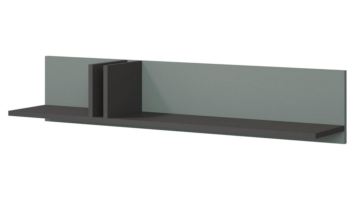 WANDREGAL Alsy AL15 - Anthrazit/Grün, Holzwerkstoff (110/22/22cm) - MIRJAN24