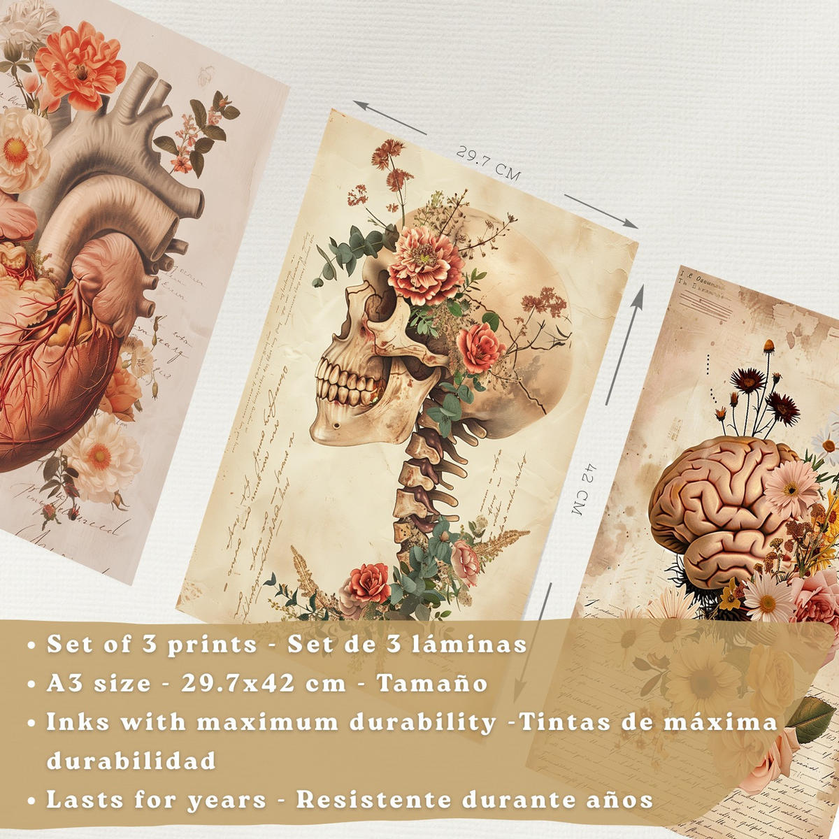 POSTER Set aus 3 Anatomie Mensch Drucke und Wandbilder mit Herz Gehirn und Schädel Vintage Floraler Stil Wanddekoration Größe Weißer Rahmen A3 - Weiß, Papier (29.7/42/3cm) - Nacnic