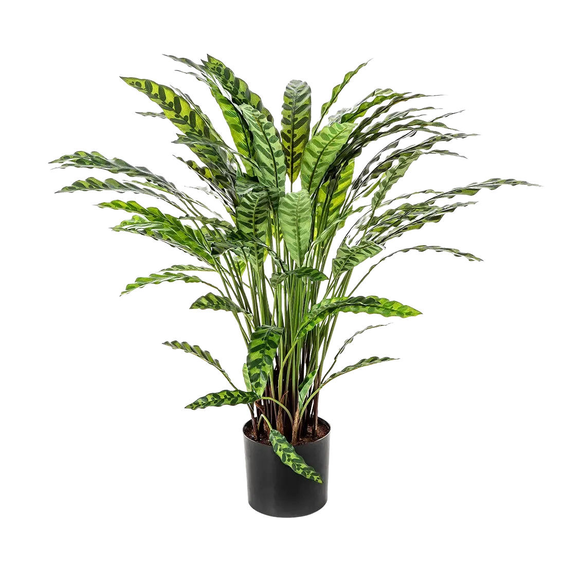 KÜNSTLICHE Calathea - Jane 84 cm - Grün, Kunststoff (84cm) - aplanta