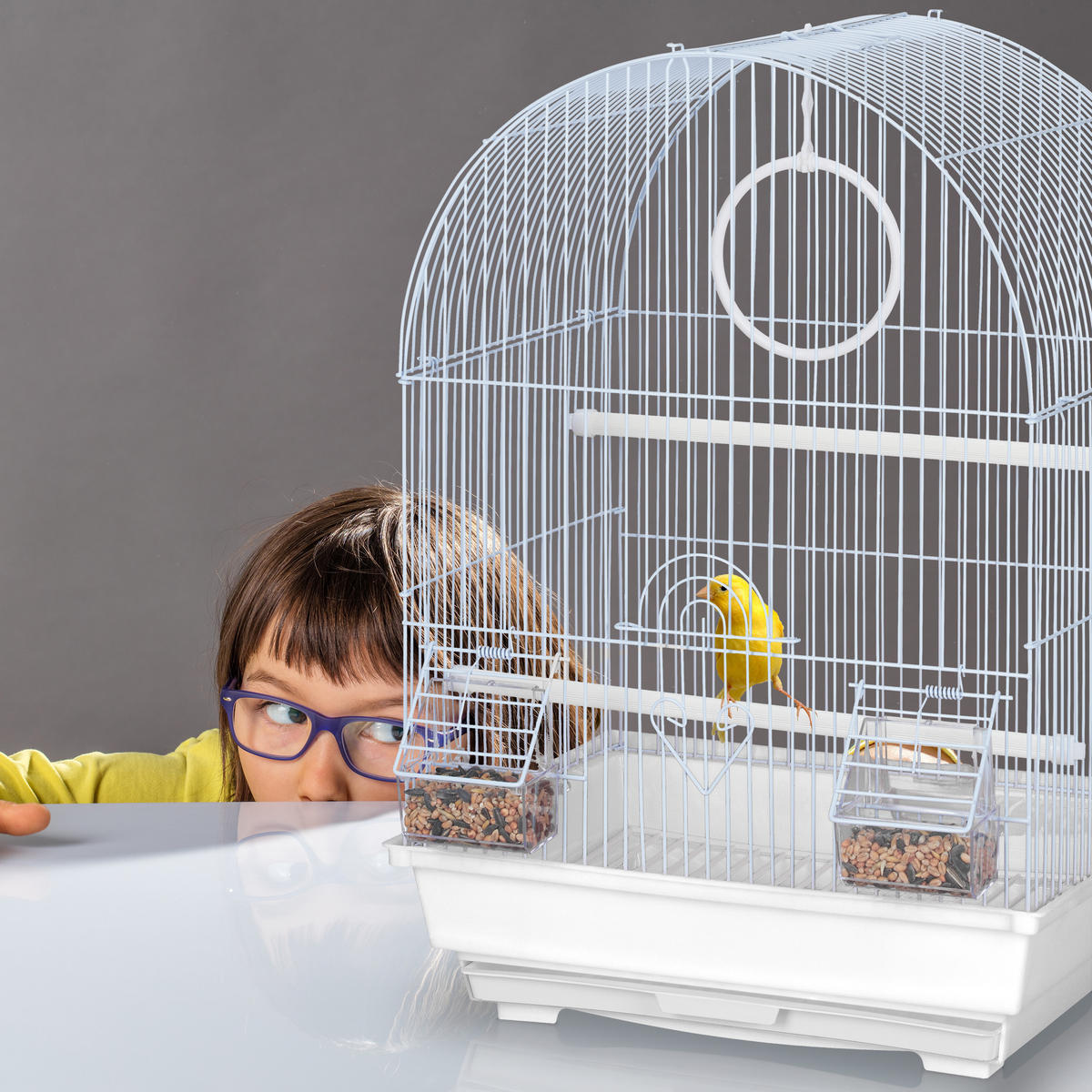 VOGELKÄFIG - Multicolor, Kunststoff/Metall (34.5/49.5/31cm) - Relaxdays