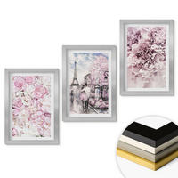 WANDBILDER 3er Set - 20x30 cm Silberner Rahmen - Blumenlandschaft in Rosatönen - Silberfarben, Kunststoff (20/30cm) - ArtPrintCave