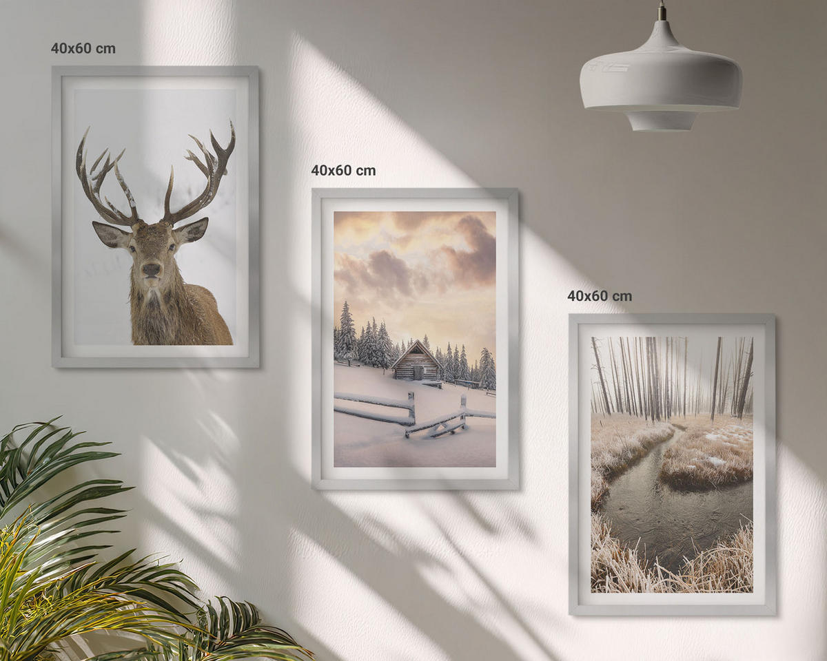 BILDER SET 3er Set - 40x60 cm Silberner Rahmen - Hirschhütte in Winterlandschaft - Silberfarben, Kunststoff (40/60cm) - TULUP