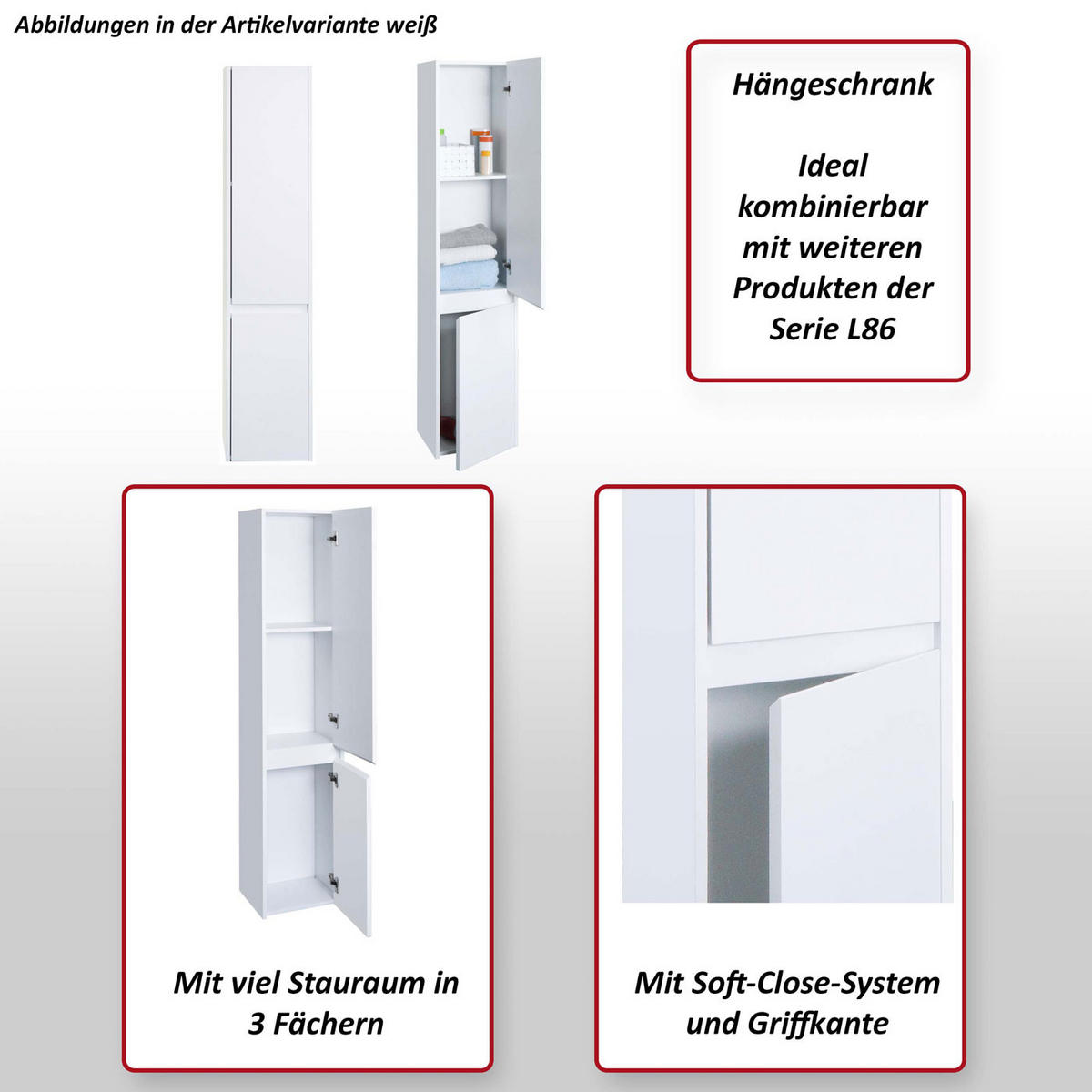 HÄNGESCHRANK Schwarz - Schwarz, Holzwerkstoff (33/160/28cm) - MCW