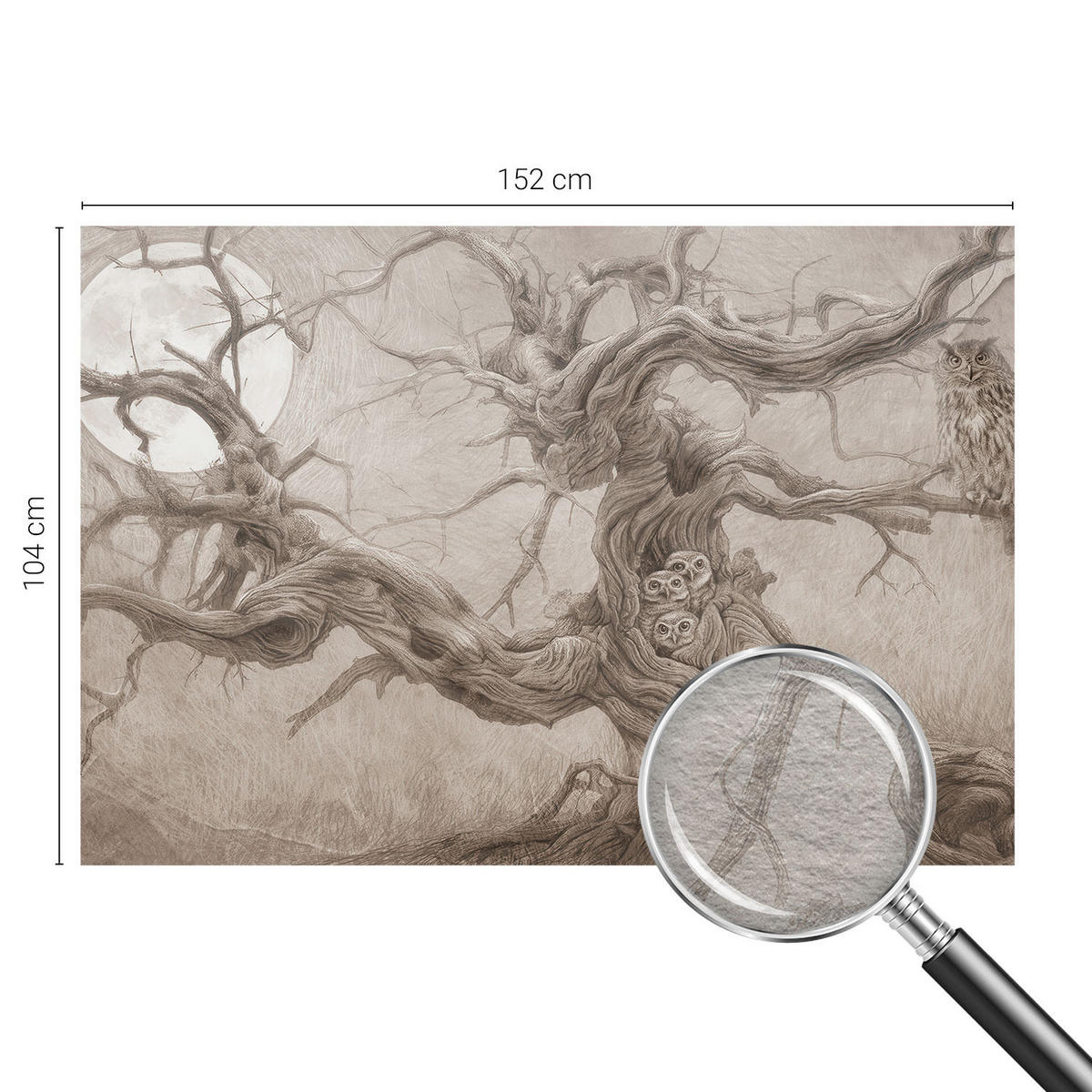 FOTOTAPETE 152x104 cm - Nachtvögel - Beige, Textil (152/104cm) - Wallfluent