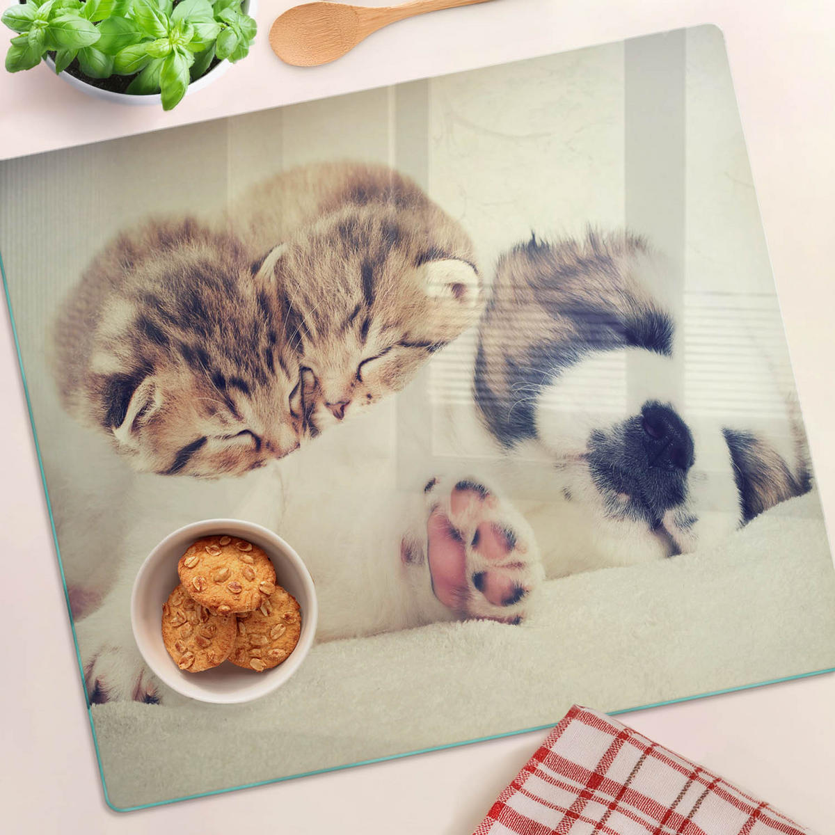 GLASPLATTE 60x52 cm Katzen und Hunde - Pink/Braun, Glas (60/0.4/52cm) - TULUP