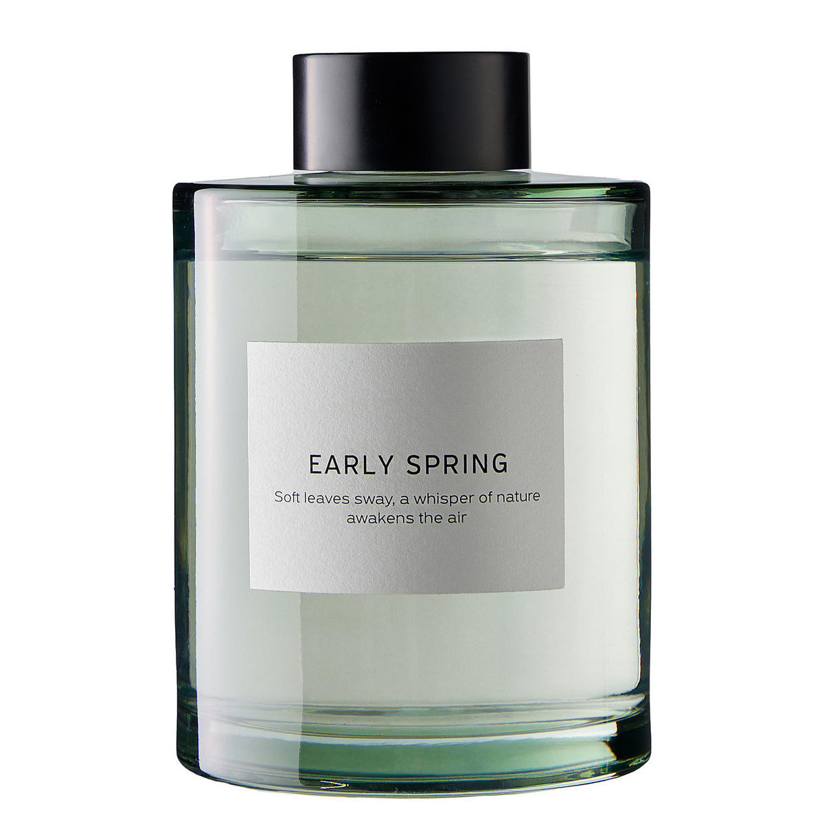 RAUMDUFT Pure Poetry Early Spring 150ml - Salbeigrün, Glas (8/24/8cm) - Butlers