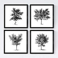 POSTER Set mit 4 Blättern der Bäume mittlerer weiß 20x20cm Schwarzer Rahmen - Schwarz, Papier (20/3cm) - Nacnic