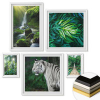 WANDBILDER 5er-Set - 50x50 cm & 20x30 cm & 40x60 cm Weißer Rahmen - Dschungel-Weißtiger-Wasserfall - Weiß, Kunststoff (40/60cm) - ArtPrintCave