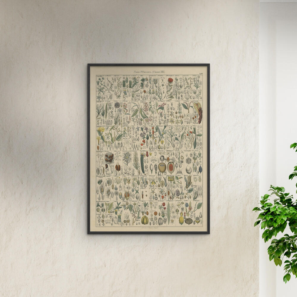 POSTER mit Rahmen Wild Apple - Flora Chart II - Schwarz/Grün, Holz/Papier (70/100cm) - Poster&Frame