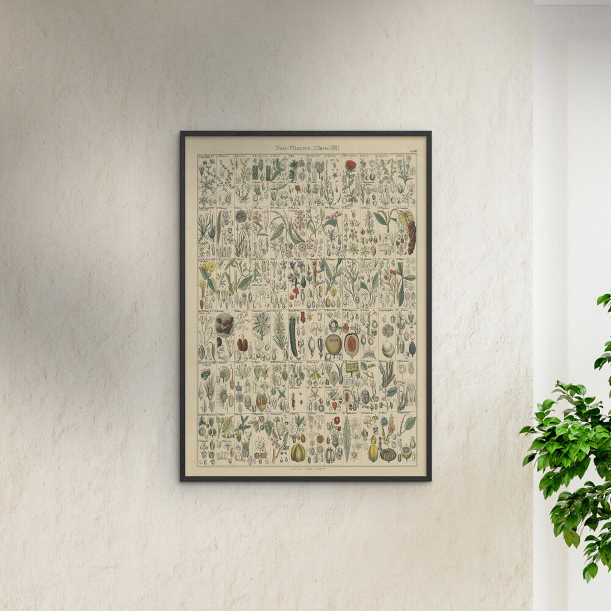 POSTER mit Rahmen Wild Apple - Flora Chart II - Schwarz/Grün, Holz/Papier (70/100cm) - Poster&Frame