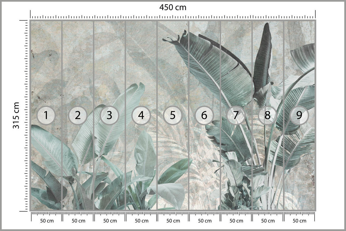 FOTOTAPETE für Küche Beton Bananenblätter Abstrakt Pflanzen Vintage 450x315 - Beige/Grau, Papier (450/315cm) - Muralo