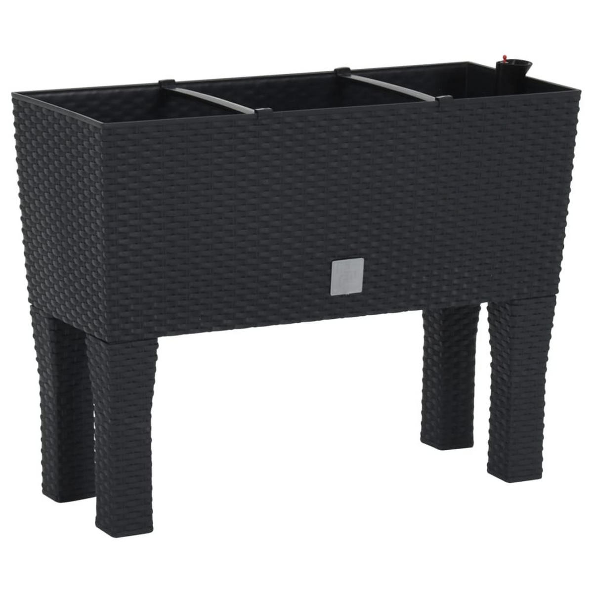 HOCHBEET Anthrazit 60x25x46 cm PP-Rattan - Anthrazit, Kunststoff (60/46/25cm)