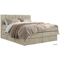 BOXSPRINGBETT ALVER KING 200/200 - Beige Velvet - Topper T25 - H3 - Beige, Textil (200/200cm) - MKS