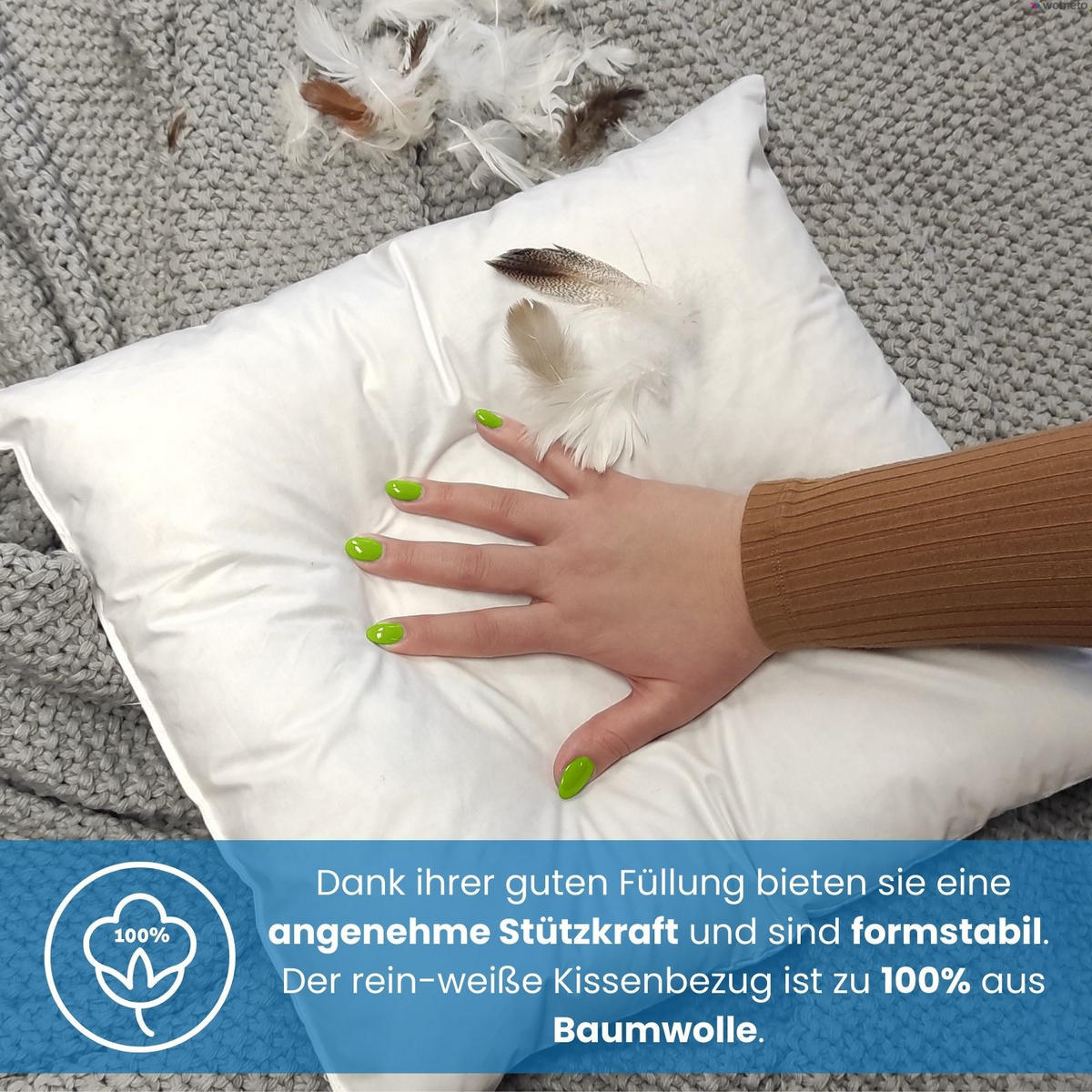 FEDERKISSEN 4er Set 100% Federn 55/55 cm Bezug aus 100% Baumwolle - Weiß, Textil (55/55cm) - wometo