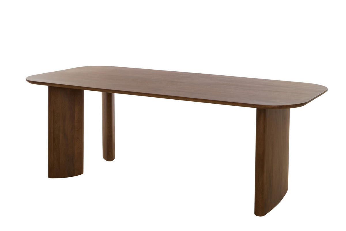ESSTISCH Aymara Braun 220/100/76 cm - Braun, Holz (220/100/76cm) - Light & Living