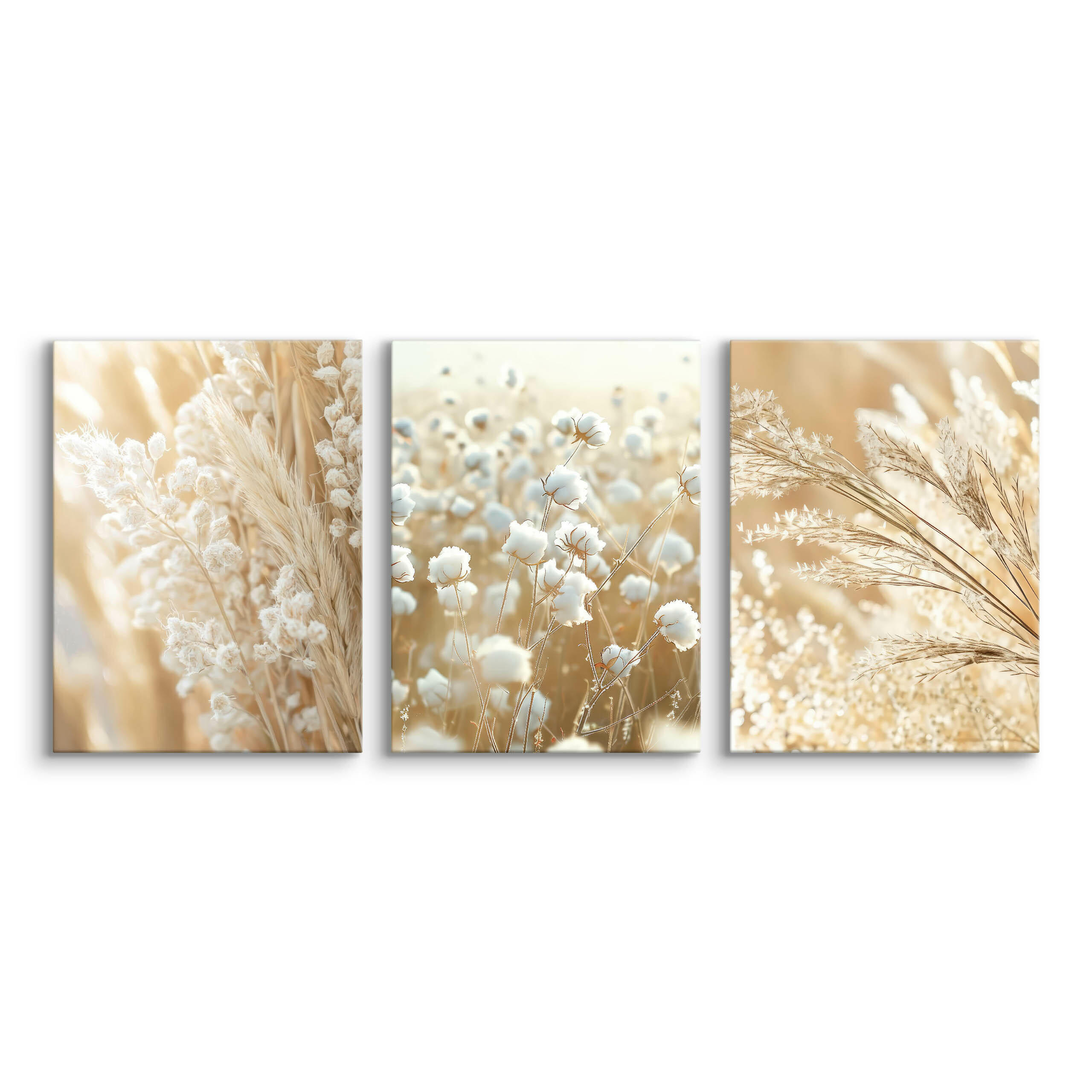 LEINWANDBILDER 3-es Set Pflanzen Natur - Beige/Weiß, Textil (90/40cm) - Muralo