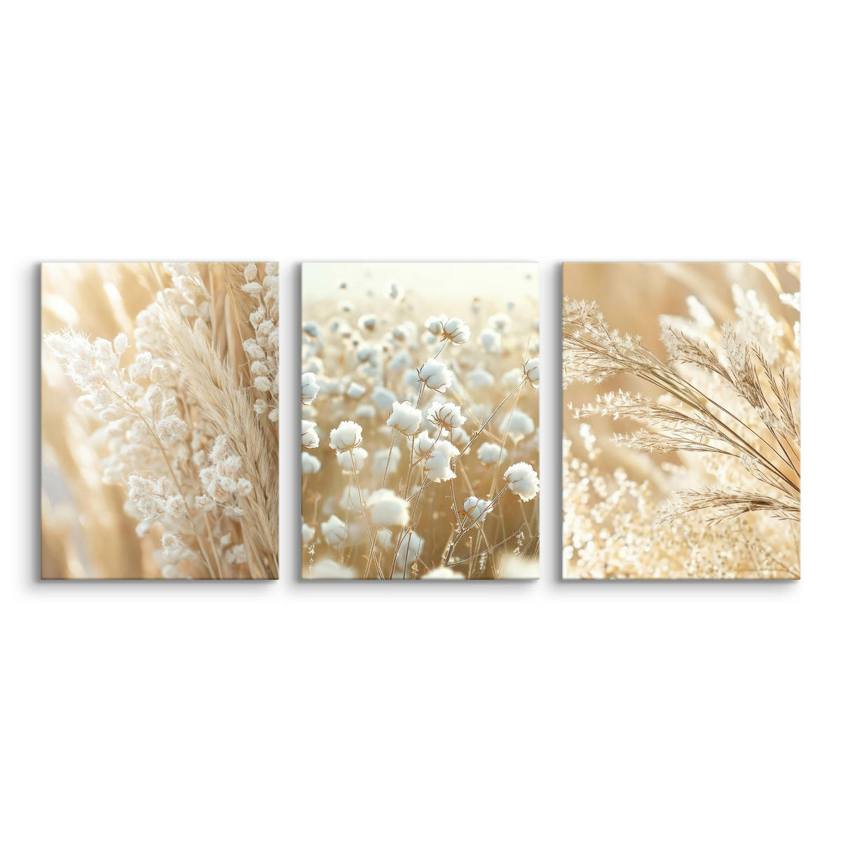 LEINWANDBILDER 3-es Set Pflanzen Natur - Beige/Weiß, Textil (90/40cm) - Muralo